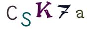 Image CAPTCHA
